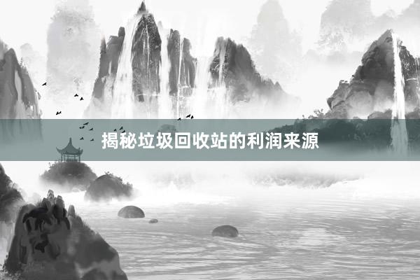 揭秘垃圾回收站的利润来源