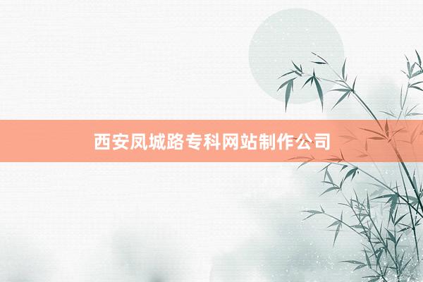 西安凤城路专科网站制作公司