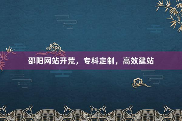 邵阳网站开荒，专科定制，高效建站