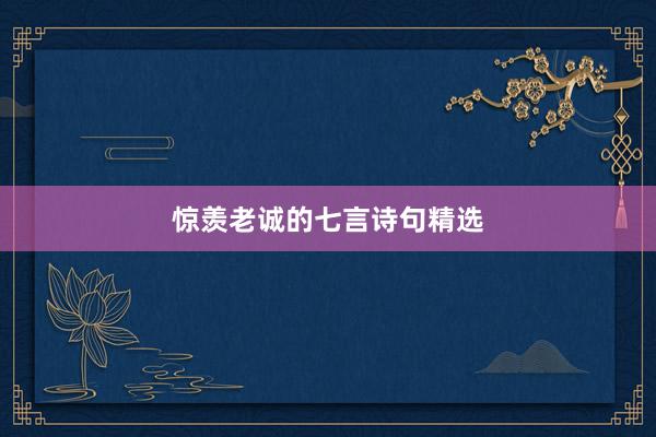 惊羡老诚的七言诗句精选