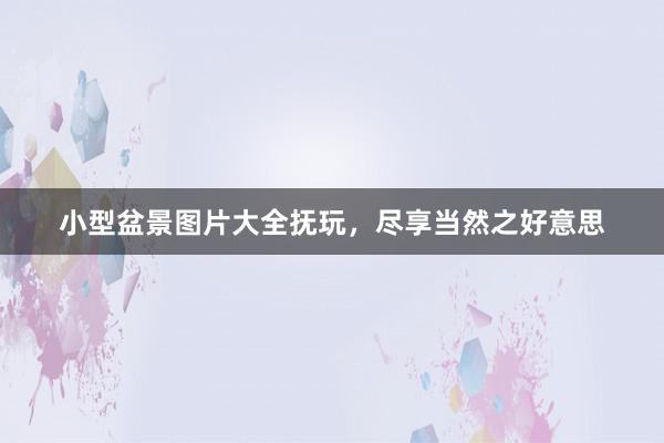 小型盆景图片大全抚玩，尽享当然之好意思